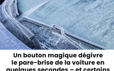 Un bouton magique dégivre le pare-brise en quelques secondes?