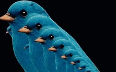 Combien d’oiseaux peux-tu voir ?Clic sur le lien pour voir le résultat?