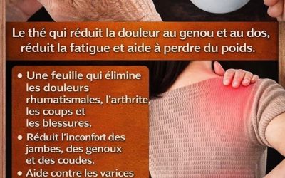 Une seule feuille soulage les douleurs rhumatismales, l’arthrite, les contusions et les blessures. Atténue les douleurs aux jambes.