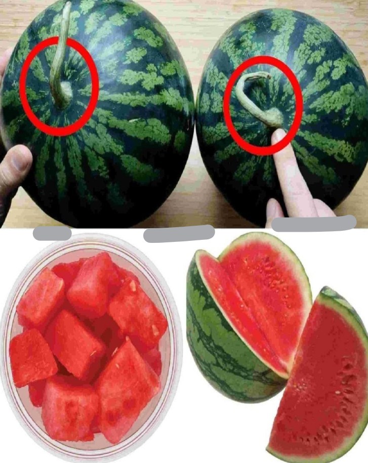 Comment Choisir Une Pastèque Parfaitement Sucrée : Astuces Pour UN Fruit Juteux Et Savoureux