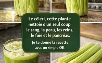 Jus de céleri détox pour le foie et le pancréas