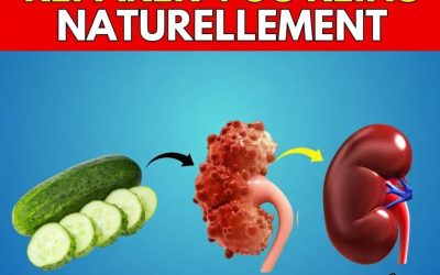 12 Aliments qui aident à réparer vos reins  ?